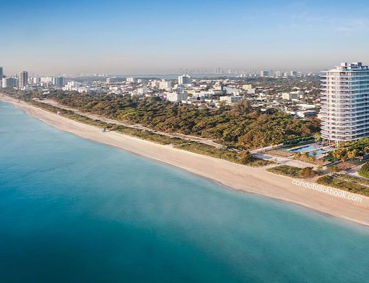 Eighty Seven Park image #2